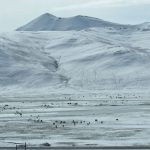 2018年西藏天路之旅